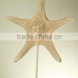 Custom Home Decor Art Artificial Starfish Statue thumbnail-6