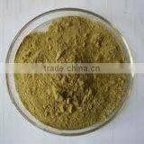 Andrographis Extract thumbnail-4