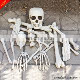 Halloween skeleton bones, set of 19pcs plastic full size skeleton bones in a mash bag