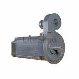 Turkey steel mills DC motor