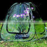 Mini Pop Up Greenhouse thumbnail-3