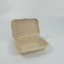 Disposable Lunch Box Salad Box Burger Box
