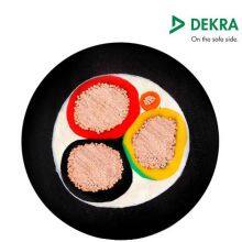 EN 50620、IEC62893 AC Charging Cable thumbnail-1