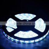 SMD5050 Waterproof RGB IP65 LED Strip Light thumbnail-5