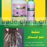 Tuta Absoluta thumbnail-6