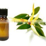 Ylang Ylang Essential Oil