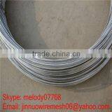Hot Dipped Galvanized Steel Wire