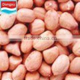 Long Type Peanut Kernel