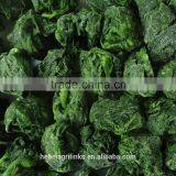 IQF Spinach Balls thumbnail-1