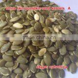 Shine Skin Pumkin Seed Kernels thumbnail-3