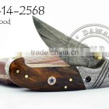 Damascus Steel Folding Knife DD-14-2568