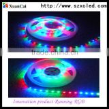 Xuancai indoor outdoor running RGB led strip light --programmable IP66