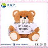Custom Plush Teddy Bear Mobile Charger Toy With USB Quality Choice