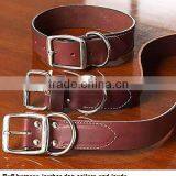 Leathere dog collar plain