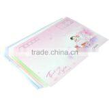 Card Protection Envelope