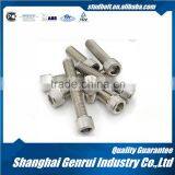 Stainless Steel Socket Cap Thin Head Bolts DIN7984