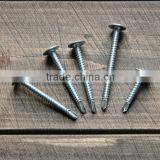 Truss Head Phillips Self Tapping Screw Zinc Plated Roofing Screw thumbnail-2