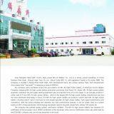 Inner Mongolia Rare Earth Ovonic High Power MH/Ni Battery Co., Ltd company overview - view 1 thumbnail