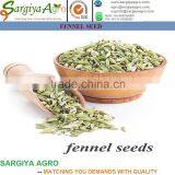 Fennel Seed thumbnail-3