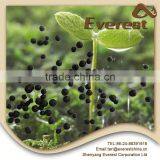 Integrated Profitability 100% Water h Acid thumbnail-4