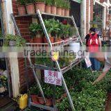 Flower Rolling Display Cart / Steel Rolling Trolley thumbnail-2