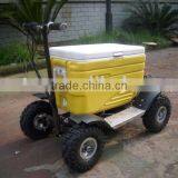 Racing Electric Cooler Car(SX-E-110) thumbnail-1