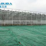 BLD Large Multi-span Plastic Film Greenhouse and Galvanized Steel Frame Greenhouse Kit thumbnail-5