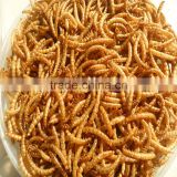 Dried Mealworm by Freeze for Pet (cat ,dog and chicken) food