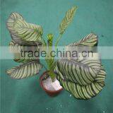 Artificial Bonsai Plants Artificial Zebra Evergreen Bonsai Decor thumbnail-1