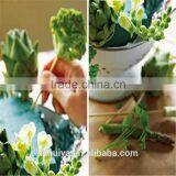 High Quality Reliable Floral Form for Flower Arrangments&wedding thumbnail-2
