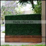 SAS016013 Plastic Cheap Artificial Boxwood Hedge thumbnail-4