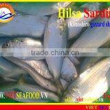 FROZEN HILSA SARDINE WHOLE ROUND thumbnail-3