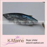 Frozen Sea Fish Fresh Skipjack thumbnail-1
