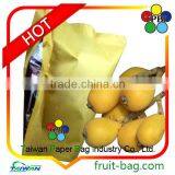 TPBI Antibacterial Anti-insect Fruit Growing Packing Paper Bag Loquat Paper Bag thumbnail-1