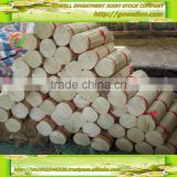 Low price Round bamboo sticks 8"; 9" for making incense from GOWELL., JSC, VietNam