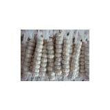 Best Chinese Fresh Garlic thumbnail-2