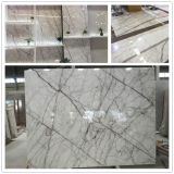 New Stunning White Calacatta Purple Exclusive Marble Slab for Wall/Floor Tiles