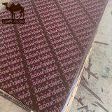 18mm Red Film Faced Plywood With Poplar Finger Joint Core Melamine Glue for Construction Concrete Formwork thumbnail-2