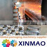Small 1 Cavity/automatic /bottle Blow Machine