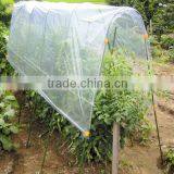 Garde Tall Poly Tunnel thumbnail-1