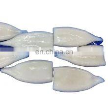 Frozen Illex Squid Tube Skinless Tip on