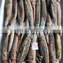 Frozen Illex Squid Illex Argentina 150/200 200/300 thumbnail-5