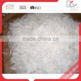 Washed White Goose Down Feather for Sale thumbnail-1