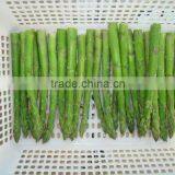Frozen Green Asparagus Cuts thumbnail-2