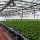 Multi-layer Greenhouse Bench thumbnail-2