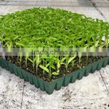 low ec coco peat for seedling trays from india