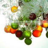 Surfing Type For Fruit Washing Machine With Reasonable Price And Brush Roller thumbnail-3