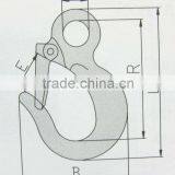 Eye Slip Hook With Latch