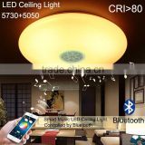 APP Ceiling Lamp Bluetooth Speaker Music LED Ceiling Light RGB White Color Dimmable Living Room Lamp