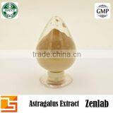 Hot Selling Polysacchrides 80% Astragalus Extract thumbnail-4